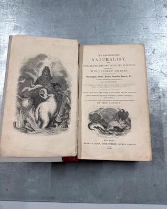 Libro volume