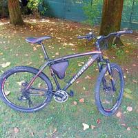 Mountain Bike Bottecchia