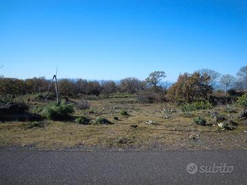 Terreno 3.900 mq, possib. costruzione fabbricato