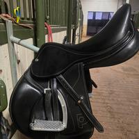 sella Pariani modello Oxer 17,5