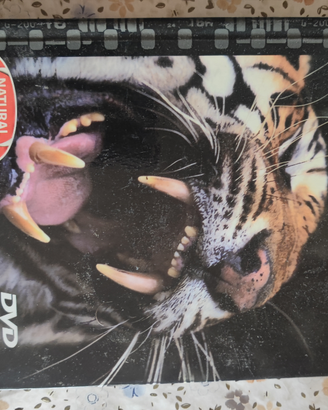 La Tigre Delle Paludi dvd video