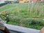 Immagine 19