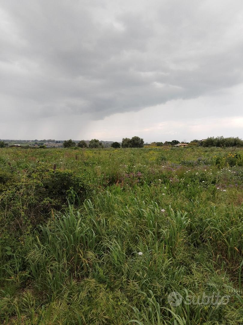 Terreno agricolo edificabile - Vista 3