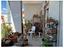 Immagine 14