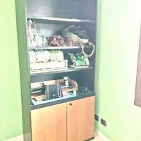 Mobiletto con libreria