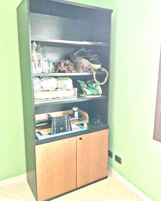 Mobiletto con libreria