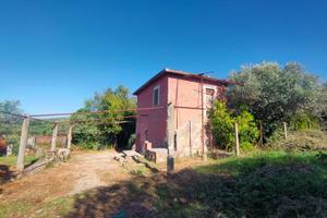 Casa singola con giardino