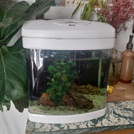 acquario , pesci , mangime e prodotti extra