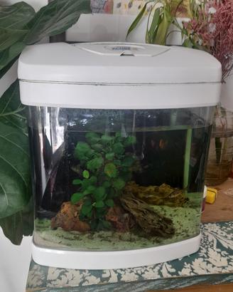 acquario , pesci , mangime e prodotti extra