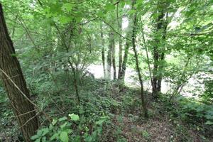 TER. AGRICOLO A OLGIATE MOLGORA