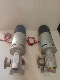 Motori Elettrici e Motoriduttori