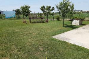 ATTREZZI AGRICOLI VINTAGE FUNZIONANTI