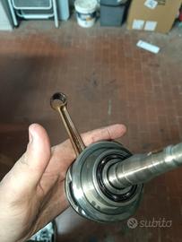 albero top performance 