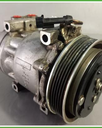 Compressore Clima AC Aria Condizionata SANDEN