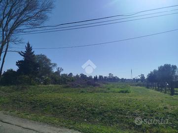 TER. AGRICOLO A TERRACINA