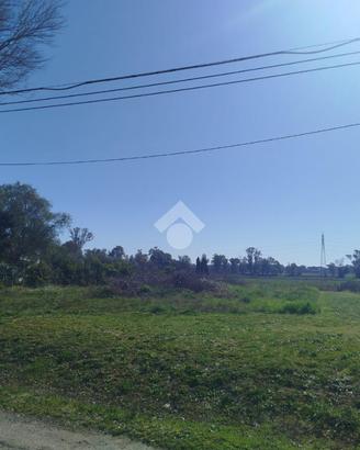 TER. AGRICOLO A TERRACINA