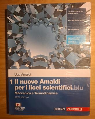 Il nuovo Amaldi per i licei scientifici.blu 1