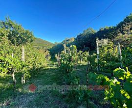 Terreno Agricolo Corciano [AV2022-086]