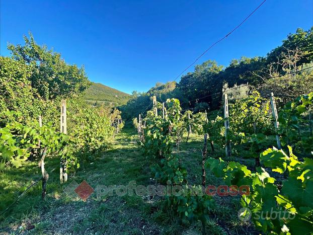 Terreno Agricolo Corciano [AV2022-086VCG]