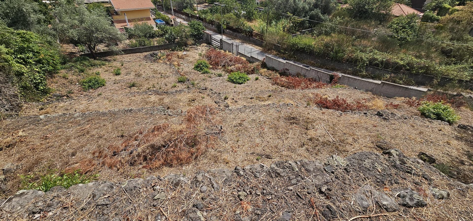Terreno Edificabile 1000 mq con Progetto Approvato - Vista 4