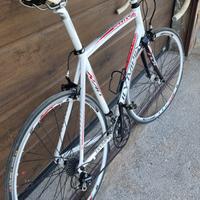 Bici Olympia Race Pro Edtion