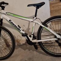 mtb kavasaki