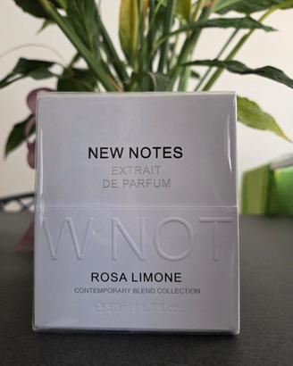 NEW NOTES  - Rosa Limone