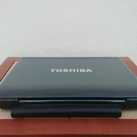 Notebook Toshiba Satellite M305-S4910