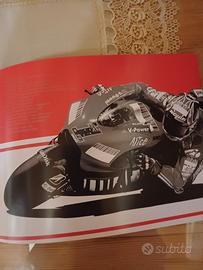 catalogo brochureufficiale alfa romeo ducati corse