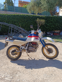Honda XL 600 LM PARIS DAKAR