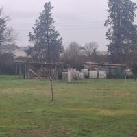 serbatoi acqua 500 lt