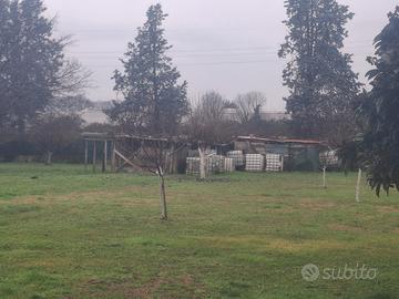 serbatoi acqua 500 lt