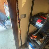 Canna da pesca roky 100