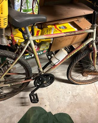 bicicletta