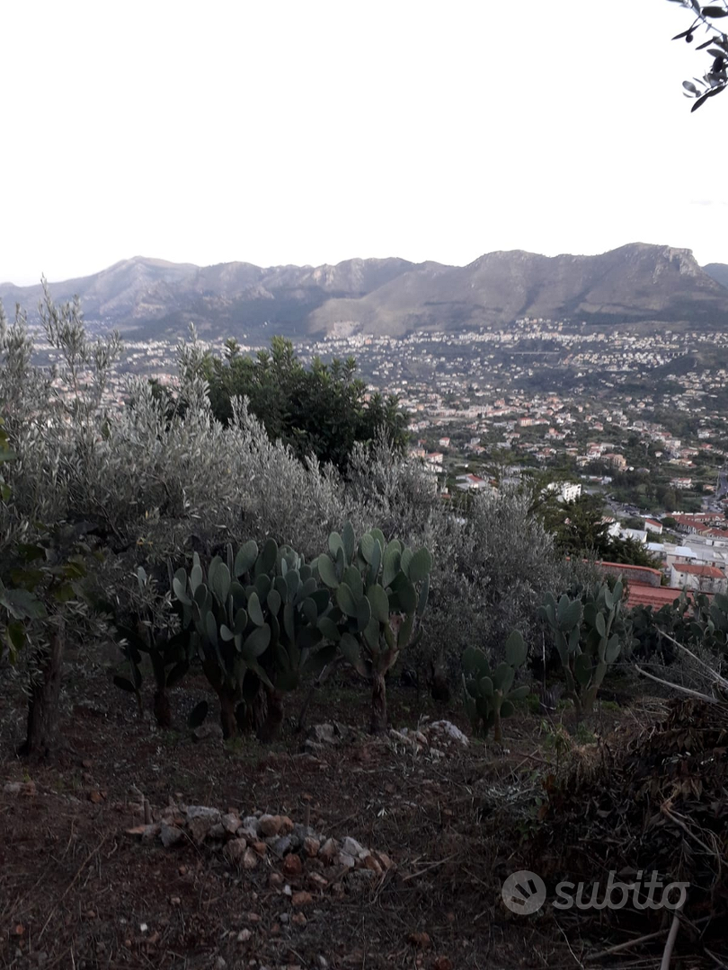Terreno agricolo - Vista 2