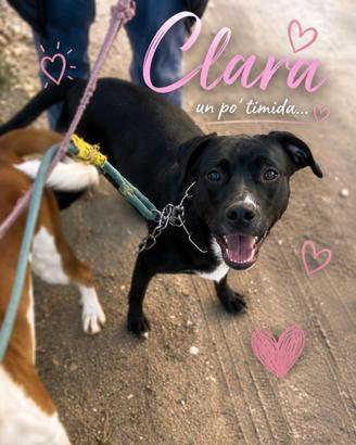Clara staffina dagli occhi dolci