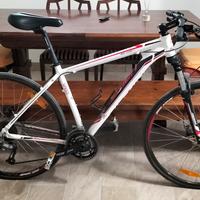 Bici MTB BigNine 29 