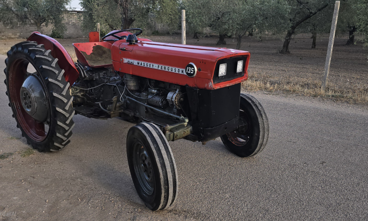 Trattore Massey Ferguson 135 frutteto