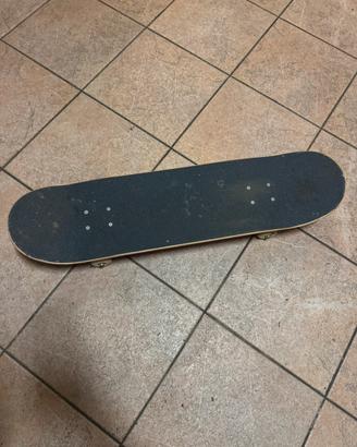 Skateboard