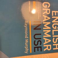 English Grammar in use Raymond Murphy