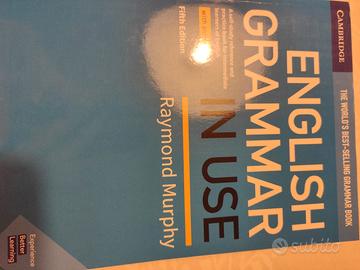 English Grammar in use Raymond Murphy
