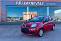 FIAT Panda 3ª serie Panda 1.0 FireFly S&S Hybrid