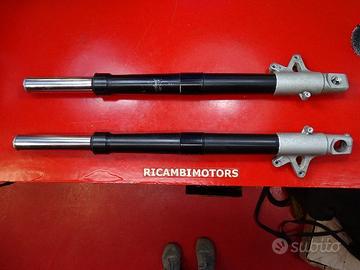 FORCELLE PERNO BMW R1200S