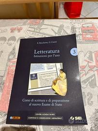 letteratura istruzioni per l’uso 3 3a 3b