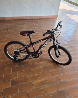 Bicicletta da bambino