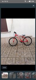 Bici mountain bike SBK