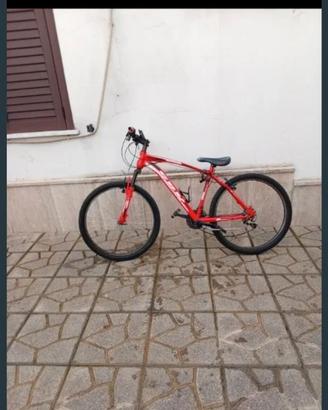 Bici mountain bike SBK
