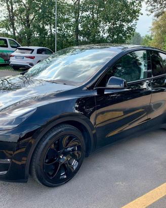 TESLA Model Y Dual Motor Long Range