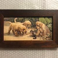 Stampa cuccioli di Labrador