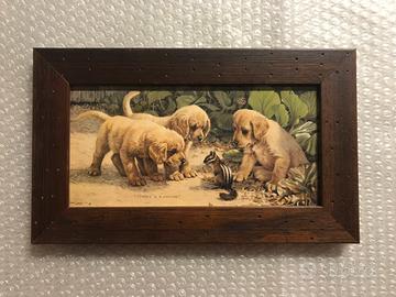 Stampa cuccioli di Labrador